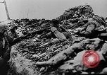 Immagine di Le forze tedesche combattono i sovietici sul fronte orientale nella guerra mondiale II Russia, 1944, secondo 8 filmato di repertorio 65675053350