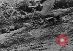 Immagine di Le forze tedesche combattono i sovietici sul fronte orientale nella guerra mondiale II Russia, 1944, secondo 40 filmato di repertorio 65675053350
