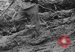 Immagine di Le forze tedesche combattono i sovietici sul fronte orientale nella guerra mondiale II Russia, 1944, secondo 41 filmato di repertorio 65675053350