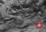 Immagine di Le forze tedesche combattono i sovietici sul fronte orientale nella guerra mondiale II Russia, 1944, secondo 42 filmato di repertorio 65675053350