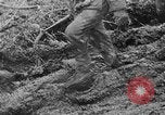 Immagine di Le forze tedesche combattono i sovietici sul fronte orientale nella guerra mondiale II Russia, 1944, secondo 43 filmato di repertorio 65675053350