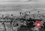 Immagine di I tedeschi Panzer Grenadiers impegnano le forze sovietiche sul fronte orientale Russia, 1944, secondo 37 filmato di repertorio 65675053351