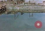 Immagine di Rovine e macerie in città Berlino Germania, 1945, secondo 58 filmato di repertorio 65675053363