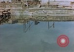 Immagine di Rovine e macerie in città Berlino Germania, 1945, secondo 59 filmato di repertorio 65675053363