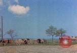 Image Des prisonniers allemands Allemagne, 1945, de la seconde 14 séquences d'archives historiques vidéo 65675053373