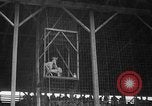 Standbild Rodeo Wettbewerb Huntsville Texas USA, 1945, aus Sekunde 16 historischem Filmmaterial Videoclip 65675053380