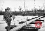 Standbild United States Army Deutschland, 1945, aus Sekunde 40 historischem Filmmaterial Videoclip 65675053381