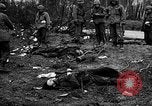 Standbild United States Army Deutschland, 1945, aus Sekunde 58 historischem Filmmaterial Videoclip 65675053381