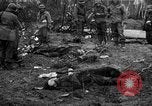 Standbild United States Army Deutschland, 1945, aus Sekunde 60 historischem Filmmaterial Videoclip 65675053381