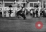 Image of Rodeo event Los Angeles California USA, 1945, second 15 stock footage video 65675053384