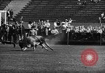 Image of Rodeo event Los Angeles California USA, 1945, second 28 stock footage video 65675053384