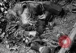 Image of wrecked buildings in Germany after World War II Germany, 1945, second 9 stock footage video 65675053387