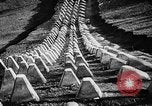 Image Adolf Hitler Allemagne, 1941, de la seconde 28 séquences d'archives historiques vidéo 65675053388