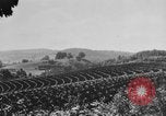 Image of American society United States USA, 1939, second 31 stock footage video 65675053398