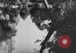 Image of American society United States USA, 1939, second 41 stock footage video 65675053398