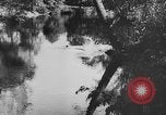 Image of American society United States USA, 1939, second 43 stock footage video 65675053398