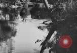 Image of American society United States USA, 1939, second 45 stock footage video 65675053398