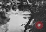 Image of American society United States USA, 1939, second 46 stock footage video 65675053398