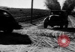 Standbild Straßenbau Deutschland, 1939, aus Sekunde 8 historischem Filmmaterial Videoclip 65675053411