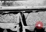 Standbild Straßenbau Deutschland, 1939, aus Sekunde 55 historischem Filmmaterial Videoclip 65675053411