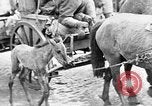 Standbild deutsche Truppen russische Front, 1941, aus Sekunde 33 historischem Filmmaterial Videoclip 65675053417