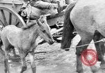 Standbild deutsche Truppen russische Front, 1941, aus Sekunde 34 historischem Filmmaterial Videoclip 65675053417