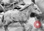 Standbild deutsche Truppen russische Front, 1941, aus Sekunde 35 historischem Filmmaterial Videoclip 65675053417