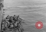 Image soldats des États-Unis l'île de Bougainville en Papouasie-Nouvelle-Guinée, 1944, de la seconde 27 séquences d'archives historiques vidéo 65675053429