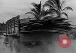 Image soldats des États-Unis l'île de Bougainville en Papouasie-Nouvelle-Guinée, 1944, de la seconde 41 séquences d'archives historiques vidéo 65675053429