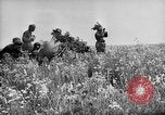 Standbild deutsche Truppen Russland Woronesch, 1943, aus Sekunde 13 historischem Filmmaterial Videoclip 65675053438