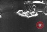 Standbild Adolf Hitler Rastenburg Ostpreußen, 1943, aus Sekunde 48 historischem Filmmaterial Videoclip 65675053443