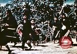 Image of Okinawa Operations Okinawa Ryukyu Islands, 1945, second 39 stock footage video 65675053463