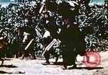Image of Okinawa Operations Okinawa Ryukyu Islands, 1945, second 41 stock footage video 65675053463