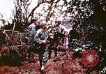 Image of Okinawa Operations Okinawa Ryukyu Islands, 1945, second 42 stock footage video 65675053463