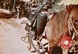 Image of Okinawa Operations Okinawa Ryukyu Islands, 1945, second 18 stock footage video 65675053464
