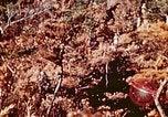 Image of Okinawa Operations Okinawa Ryukyu Islands, 1945, second 37 stock footage video 65675053464