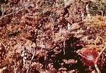 Image of Okinawa Operations Okinawa Ryukyu Islands, 1945, second 38 stock footage video 65675053464
