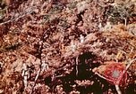 Image of Okinawa Operations Okinawa Ryukyu Islands, 1945, second 39 stock footage video 65675053464