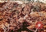 Image of Okinawa Operations Okinawa Ryukyu Islands, 1945, second 42 stock footage video 65675053464