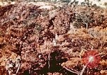 Image of Okinawa Operations Okinawa Ryukyu Islands, 1945, second 43 stock footage video 65675053464