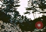 Image of Okinawa Operations Okinawa Ryukyu Islands, 1945, second 48 stock footage video 65675053464