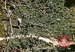 Image of Okinawa Operations Okinawa Ryukyu Islands, 1945, second 50 stock footage video 65675053464