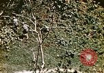 Image of Okinawa Operations Okinawa Ryukyu Islands, 1945, second 51 stock footage video 65675053464