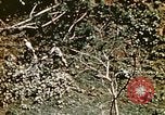 Image of Okinawa Operations Okinawa Ryukyu Islands, 1945, second 52 stock footage video 65675053464