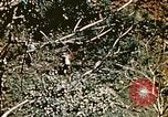 Image of Okinawa Operations Okinawa Ryukyu Islands, 1945, second 53 stock footage video 65675053464
