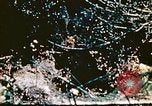 Image of Okinawa Operations Okinawa Ryukyu Islands, 1945, second 54 stock footage video 65675053464