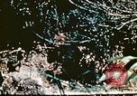 Image of Okinawa Operations Okinawa Ryukyu Islands, 1945, second 57 stock footage video 65675053464