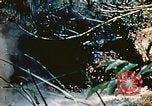 Image of Okinawa Operations Okinawa Ryukyu Islands, 1945, second 62 stock footage video 65675053464
