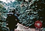 Image of Okinawa Operations Okinawa Ryukyu Islands, 1945, second 4 stock footage video 65675053465