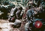 Image of Okinawa Operations Okinawa Ryukyu Islands, 1945, second 13 stock footage video 65675053465